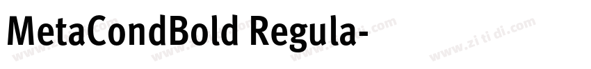 MetaCondBold Regula字体转换